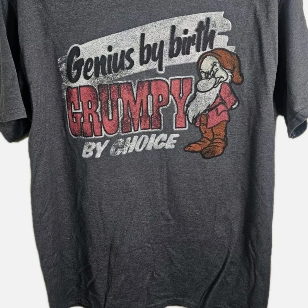 Disney Parks Grey Genius By Birth Grumpy By Choice Size XL Tshirt Seven Dwarfs